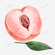 91看片APP